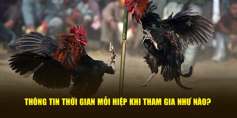 Thông tin thời gian mỗi hiệp khi tham gia như nào?